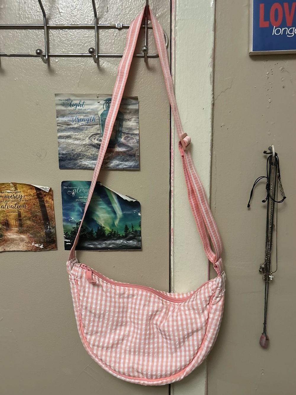 New without tags Pink Crossbody Bag